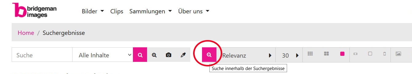 SearchWithinCat